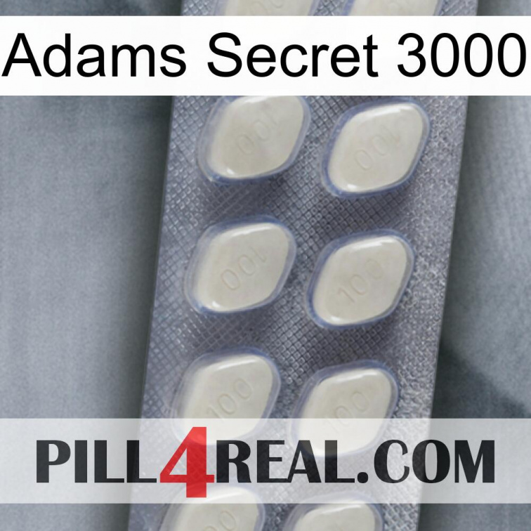 Adams Secret 3000 08